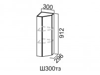 Шкаф навесной 300 торцевой закрытый Ш300тз Вектор СВ 300х912х296